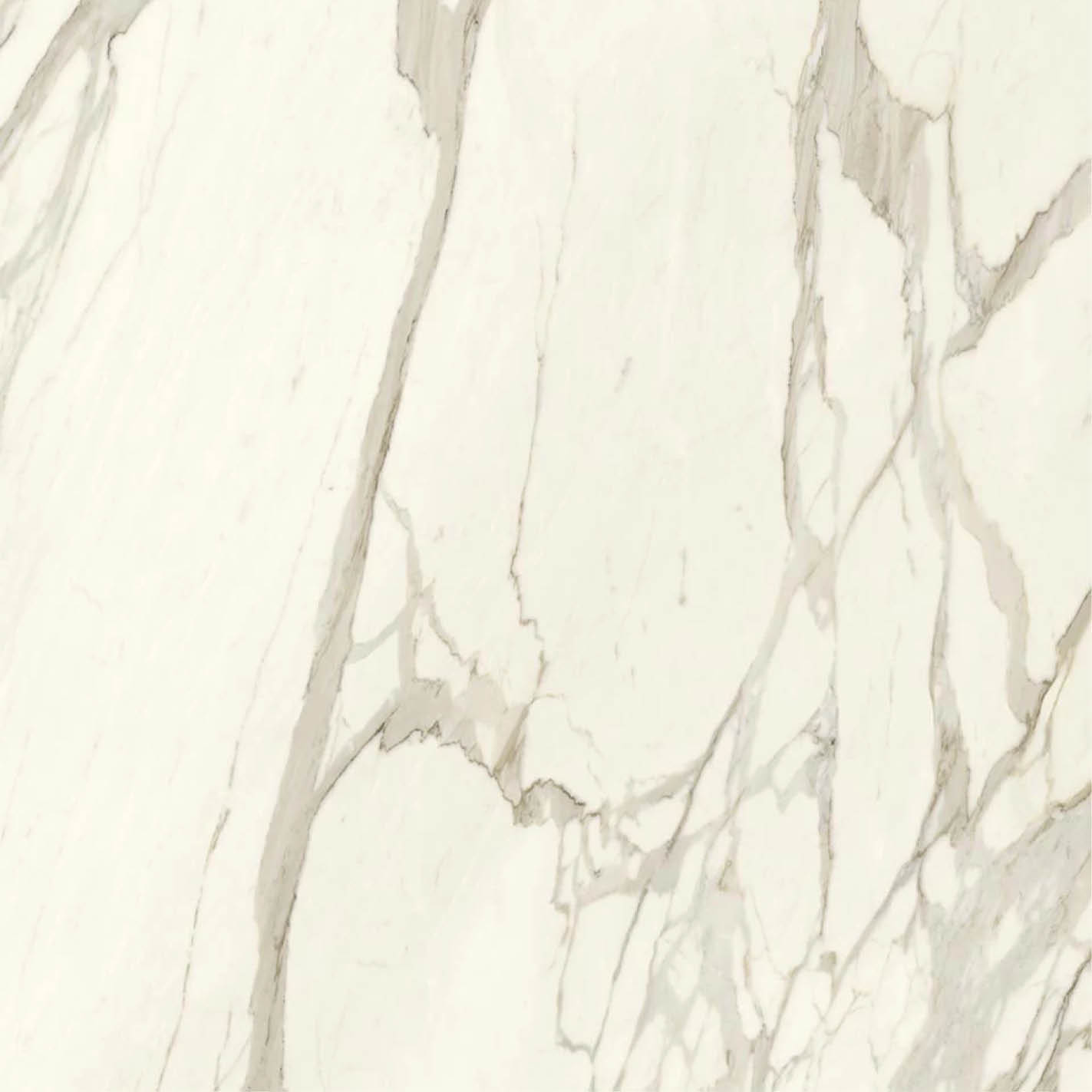 Porcelain Porcelain & Stone: Calacatta Bernini Porcelain