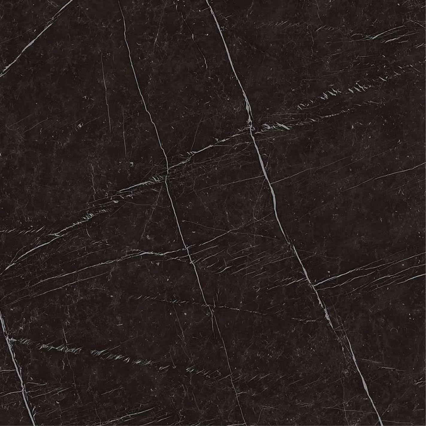 Porcelain Porcelain & Stone: Nero Marquina Porcelain